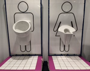 Toilet box femdom bad