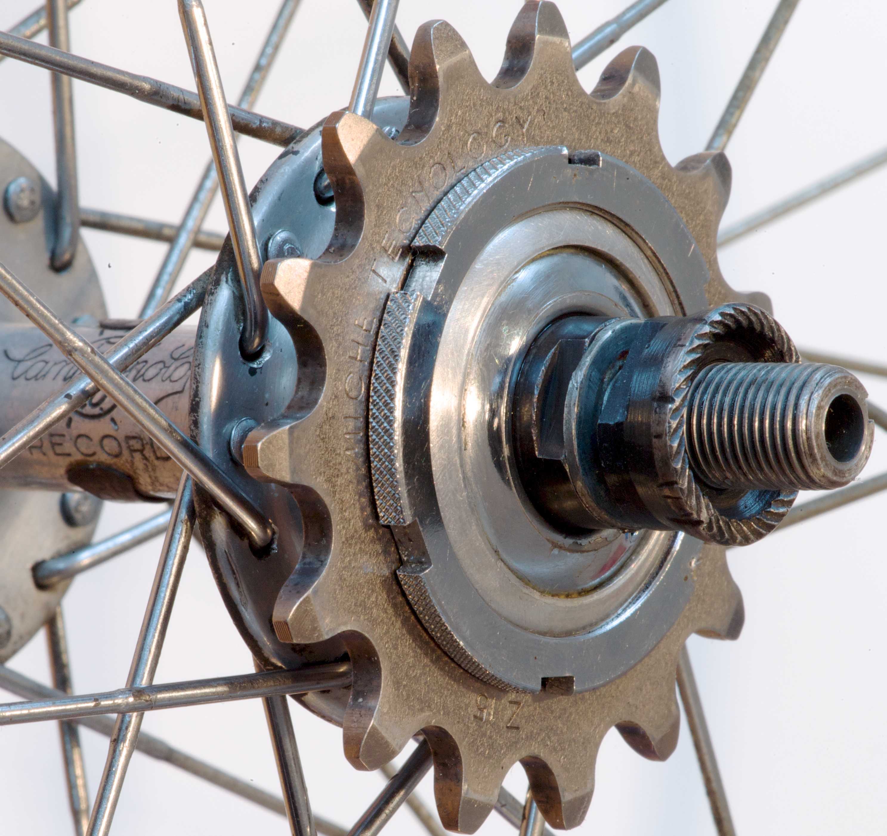 Campagnolo fixed 2024 gear