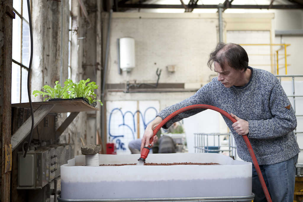 Aquaponics at Mediamatic Fabriek - Mediamatic