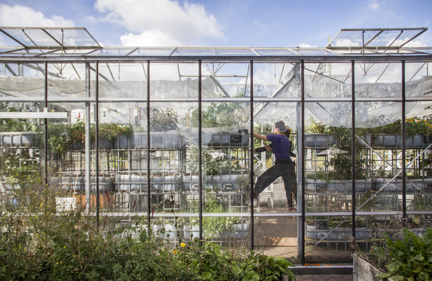 Circular Greenhouse - Mediamatic