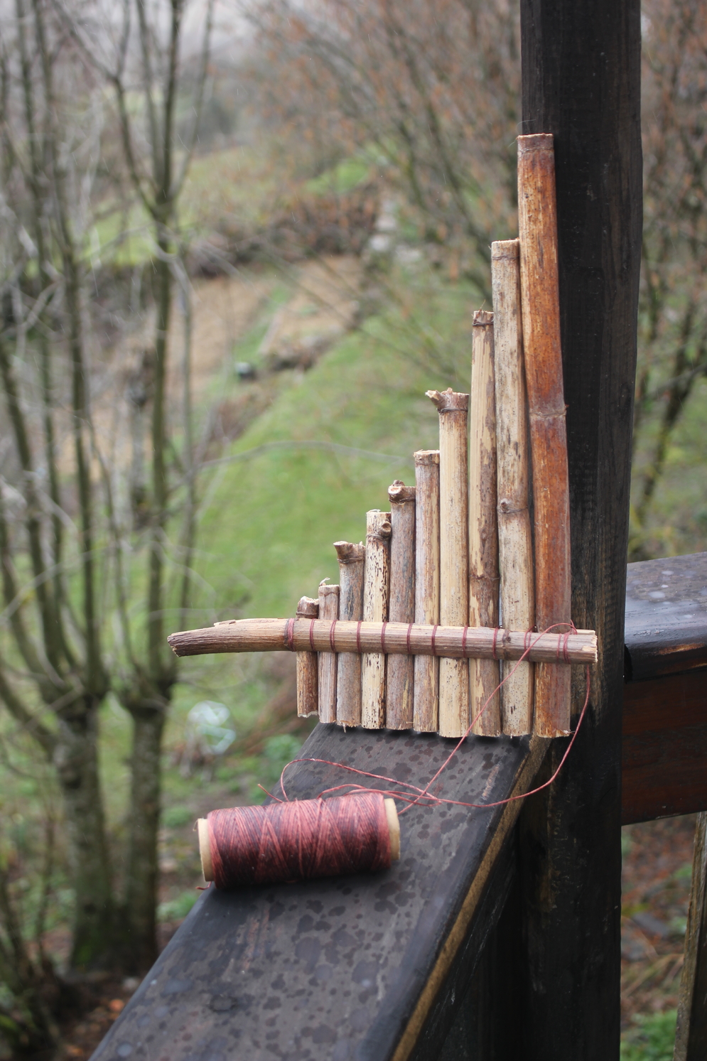 pan-flute-made-out-of-japanese-knotweed-mediamatic